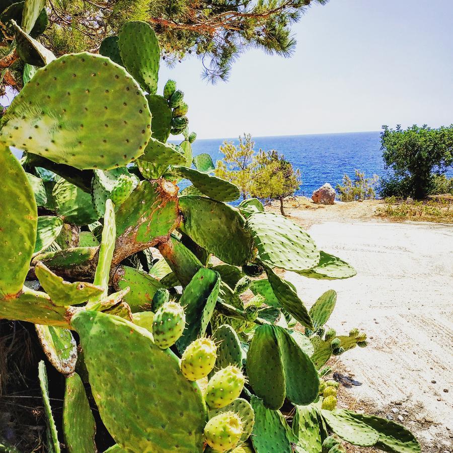 Euphoria - South Crete Villas Achlia Luaran gambar